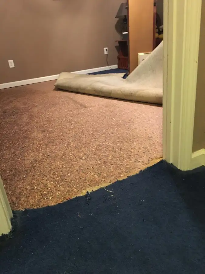 Carpet pad removal revealing water damage during Drying & Dehumidification in Lake Villa