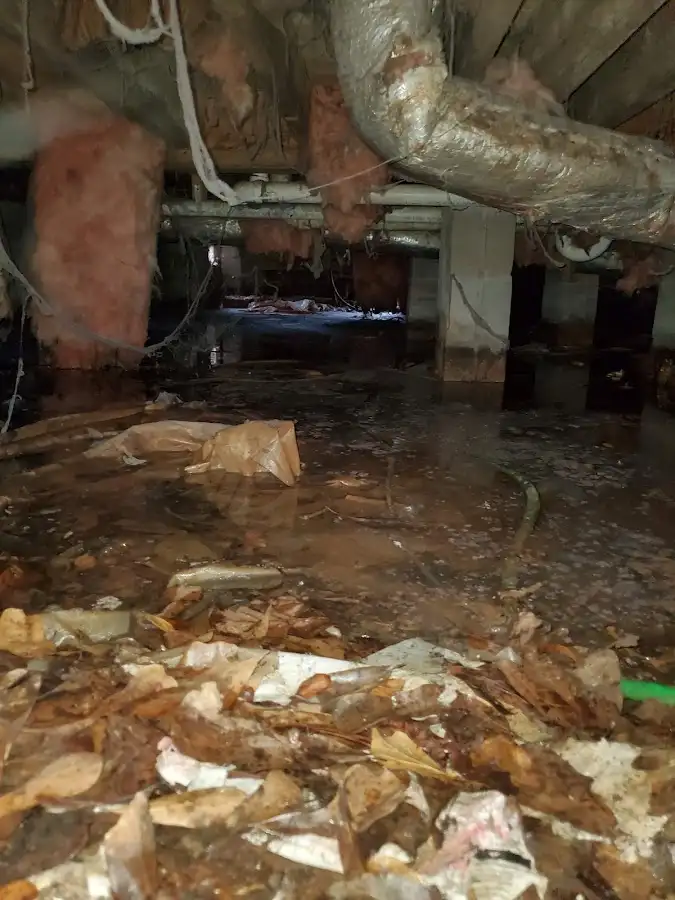 Crawl space flood assessment for Leak Detection & Repair in Lake Villa
