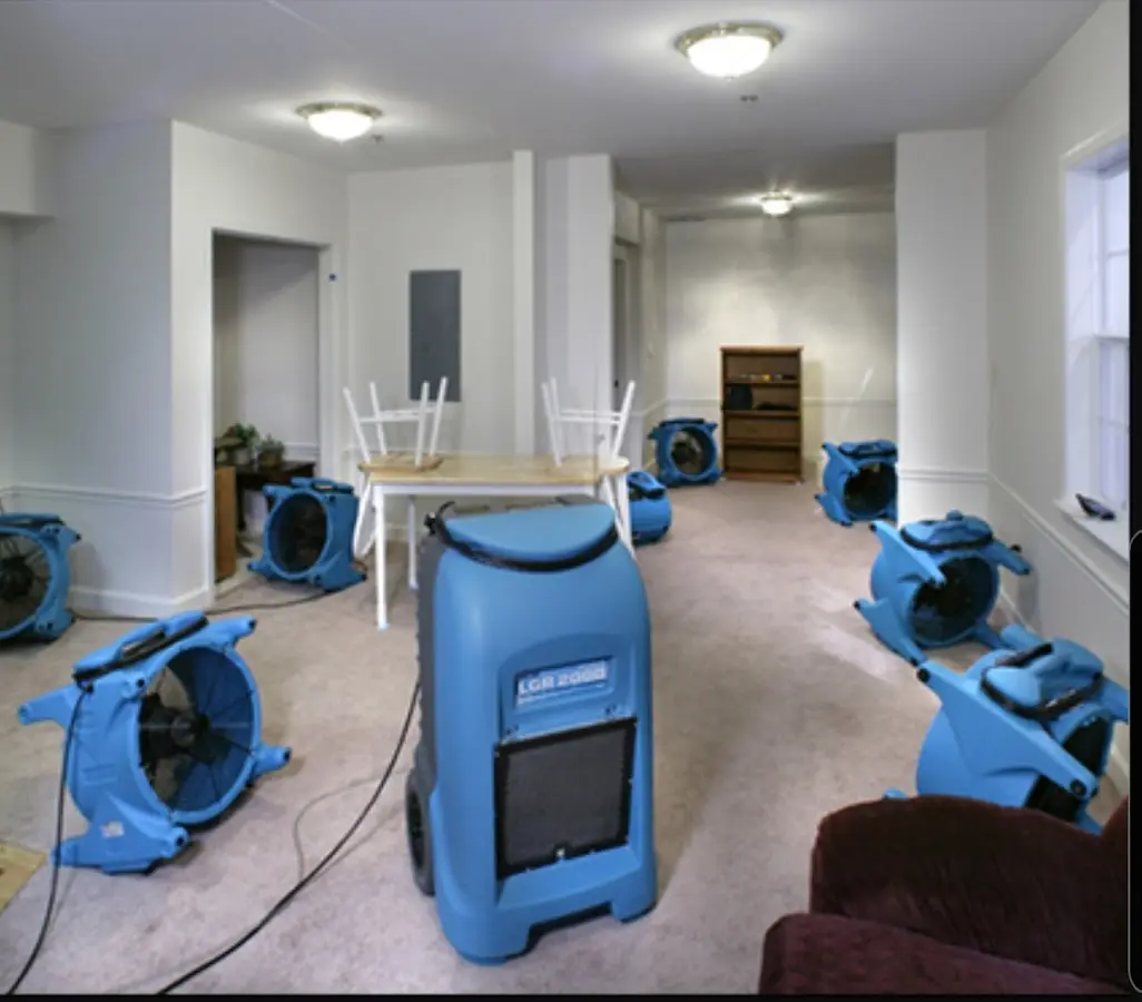 Air movers and dehumidifier setup for Water Extraction & Removal in Lake Villa